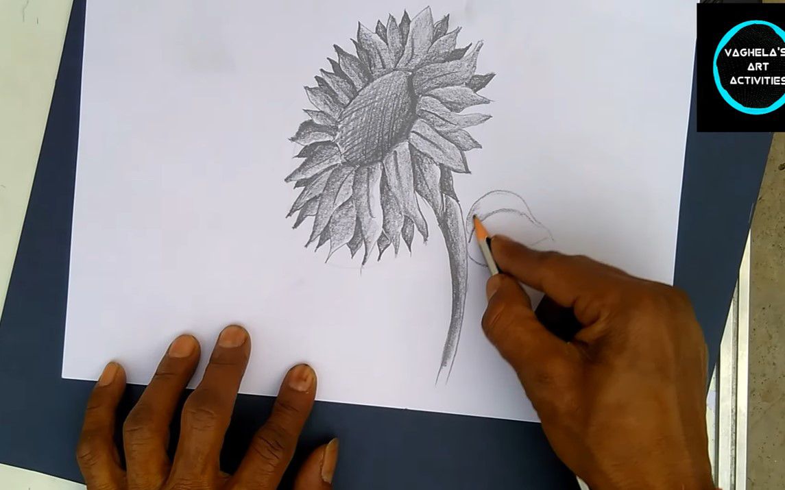 Easy Sunflower Sketching Tutorial